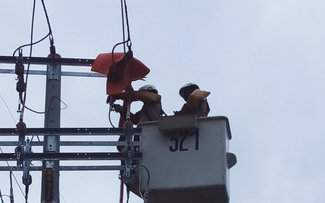 SERCONISA – Líderes en reparación de tendido eléctrico en carreteras